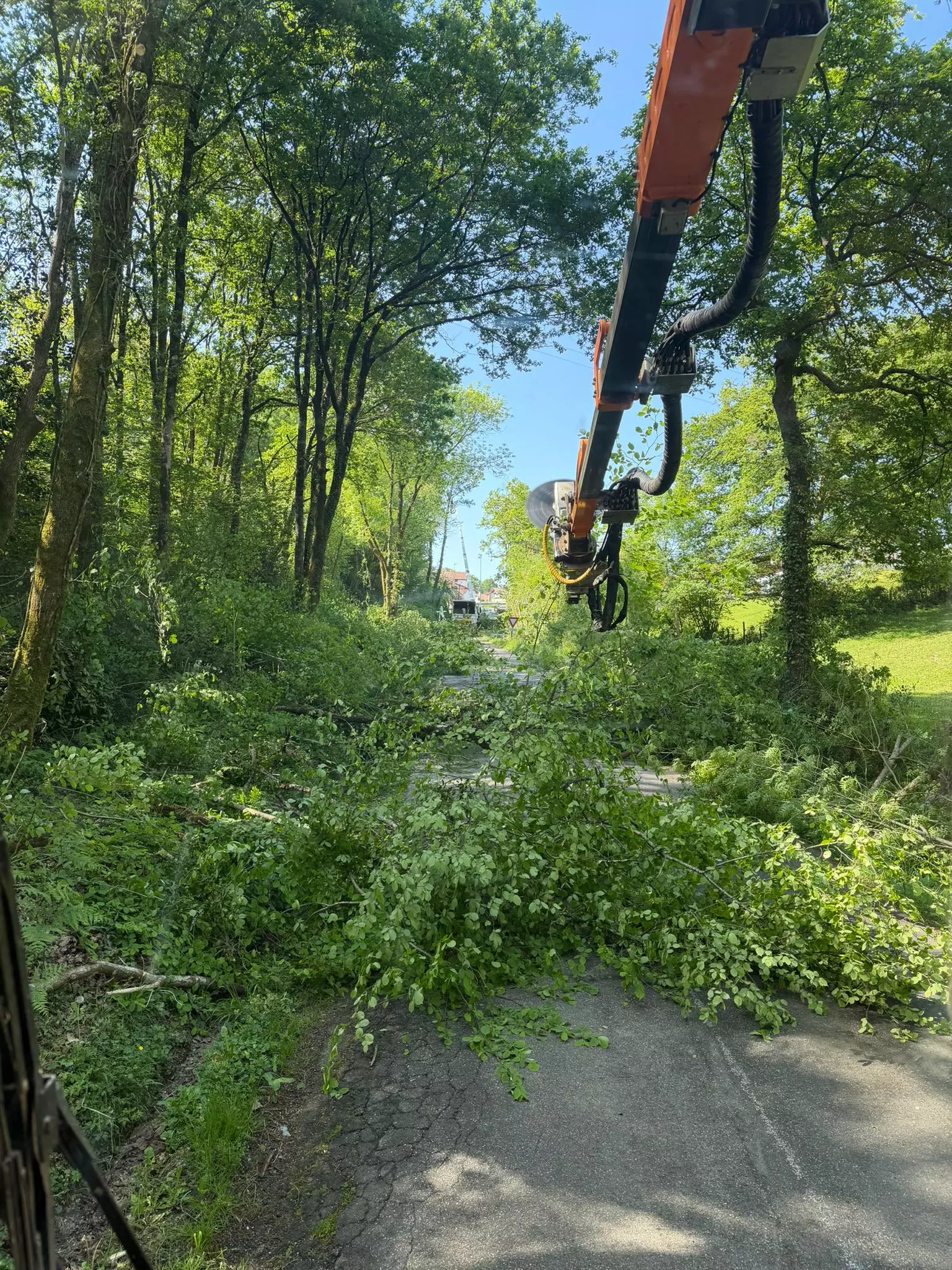 Élagage au lamier — bras articulé Harreguy Environnement
